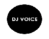 VOICE DJ 2016