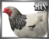 [H]Chicken Hen 02►Furn