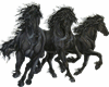 Animated Black Horses
