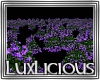 [LD] DJ Purple Flowers