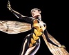 Wasp #11