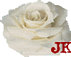 White Rose 02