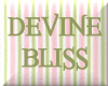 Devine Bliss Pink Pail