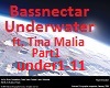 Bassnectar Underwater 1