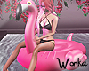 W°  Flamingo Float