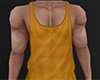 Gold Mesh Tank Top 5 (M)