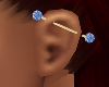 *TJ* Ear Piercing L GBlL