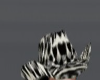VPS Leopard hat 4