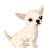 doggy/Chihuahua