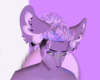 lilac ears 2