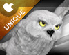 Owl-Profile Card Avatar