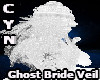 Ghost Bride Veil