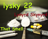 Lynyrd Skynyrd - Smell