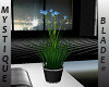 *MB Blue Flowered Plant