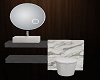 Toilet Sink