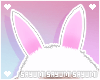 あII Bunny Ears Pink