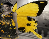 Butterfly 2 /Anim. Wings