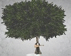 Realistic Tree W/Pose