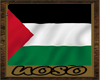 Palestine Flag (for Avi)