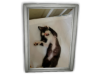 Michi Foto