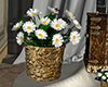 Parlor Daisies V2