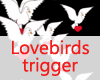 Lovebirds trigger M/F