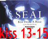 seal kiss by a rose box4