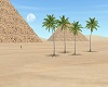 The Egyptian desert