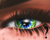 Sf- Green Blue Eye F