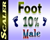 Foot Resizer 10%