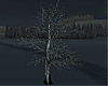 snow tree  winterwonderl