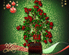 Xmas Flowers Plant 3