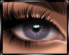 Lilac Eyes