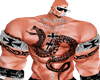 M@Z SNAKE