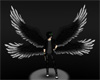 Silver/Black Angel Wings