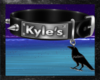 Kyle's Collar Aiden