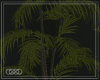 â PhyllisPlant2