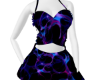 Galaxy set