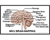 IMVU Brain Mapping
