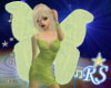 Butterfly fairy wings3