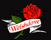 Welshdove Rose