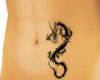 China Dragon Belly tat