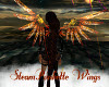 SteamPunkette Wings