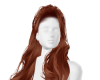 -QT- Attwood Ginger