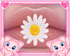 MEW mouth flower