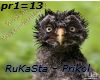 RuKaSta – Prikol