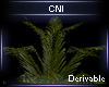 Derivable Plant V13