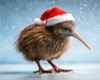 (DM) XMAS IN NZ
