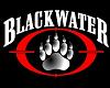 Blackwater USA Ball Cap