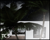 Animated palm trees
